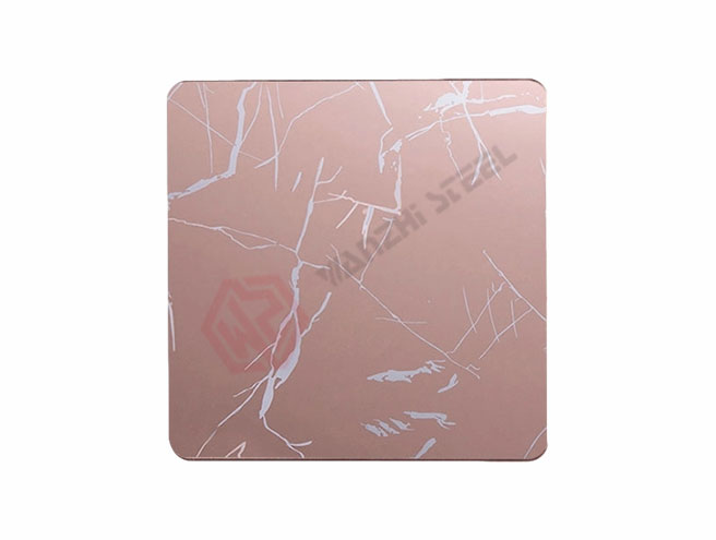 Etched Stainless Steel Sheet